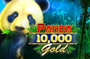 immagine slot machine Panda gold scratchcard